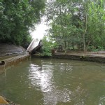 Log Flume